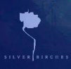 Silver Birches